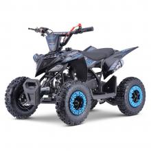 MINI-ATV PROFIVE RAPTOR 50 CC BLAU