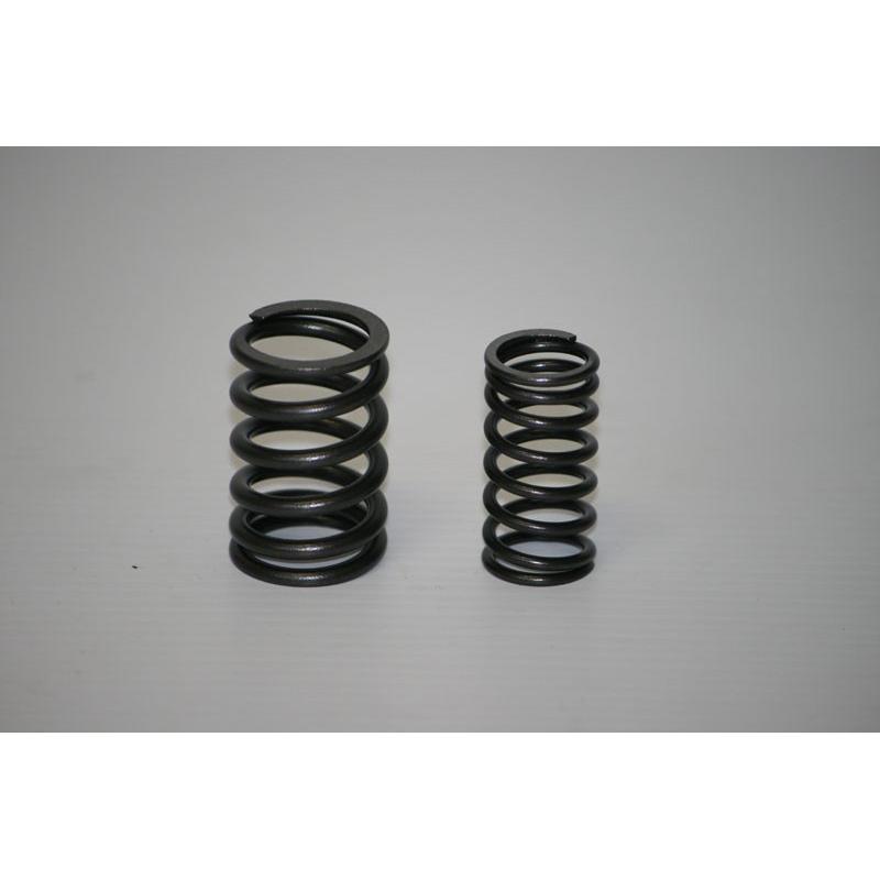 SET DAYTONA VALVE SPRING 150DT SET DAYTONA VALVE SPRING 150DT