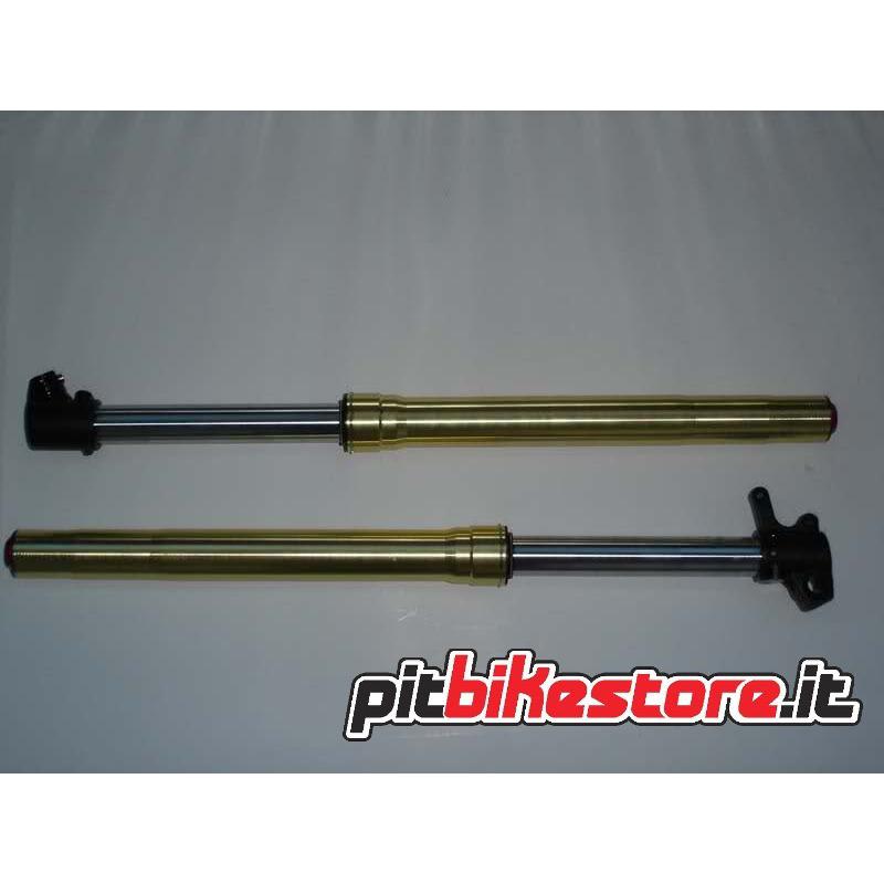 FORCELLE DNM K2 2012 FORCELLE DNM K2 2012